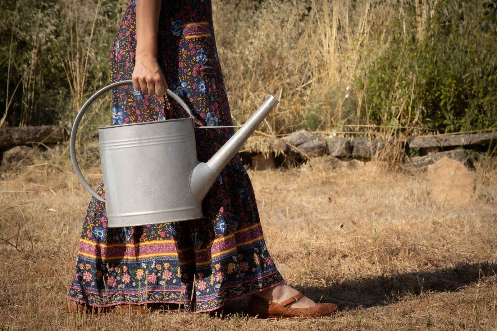 formación inclusiva online